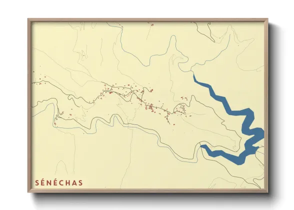 Une affiche de carte sur Sénéchas