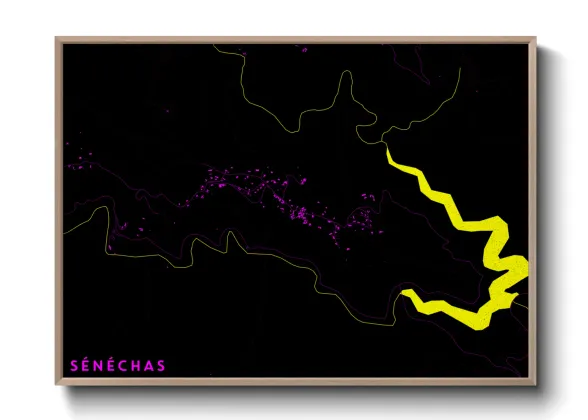 Une affiche de carte sur Sénéchas