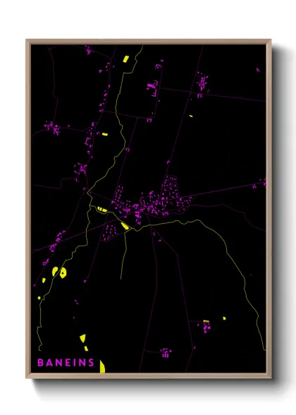 Une affiche de carte sur Baneins