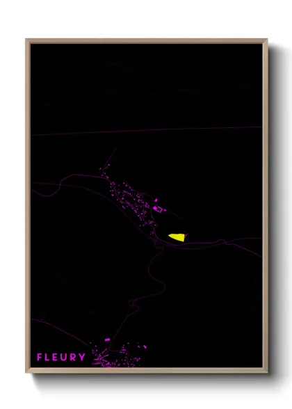 Une affiche de carte sur Fleury