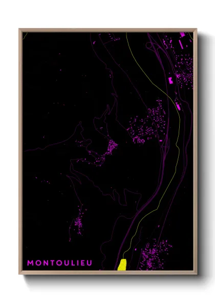Une affiche de carte sur Montoulieu