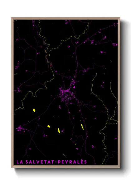 Une affiche de carte sur La Salvetat-Peyralès