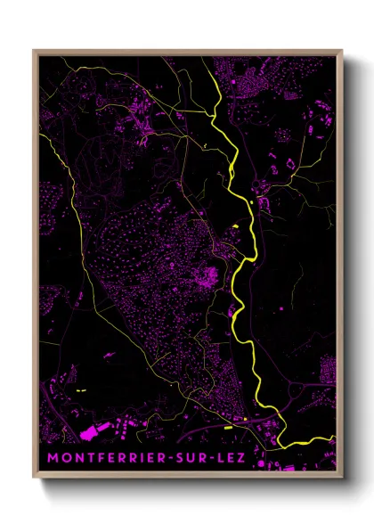 Une affiche de carte sur Montferrier-sur-Lez