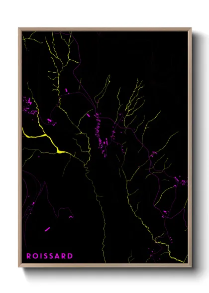 Une affiche de carte sur Roissard