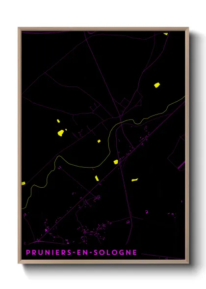 Une affiche de carte sur Pruniers-en-Sologne