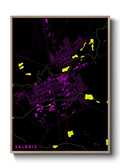 Une affiche de carte sur Salbris