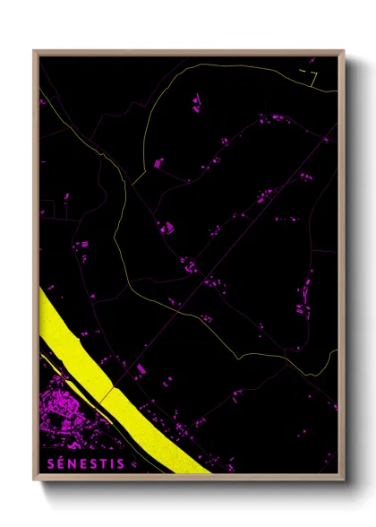 Une affiche de carte sur Sénestis