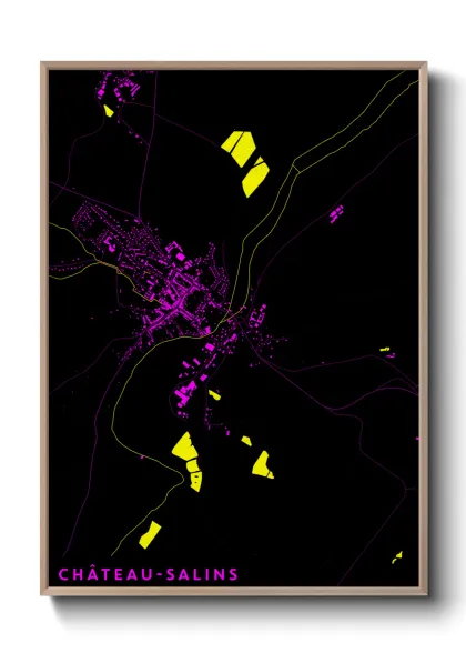 Une affiche de carte sur Château-Salins