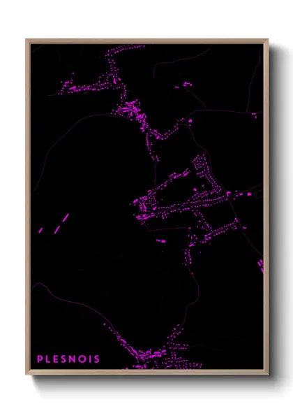 Une affiche de carte sur Plesnois