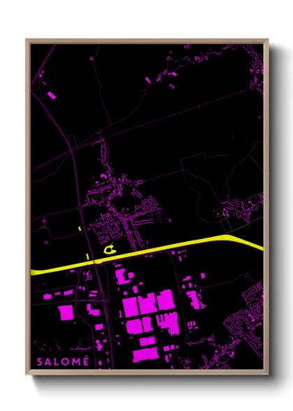 Une affiche de carte sur Salomé