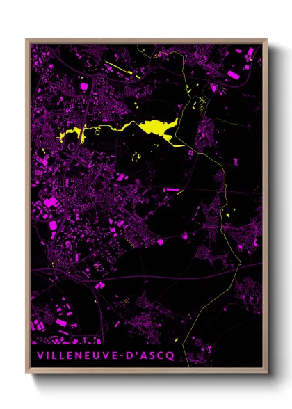 Une affiche de carte sur Villeneuve-d'Ascq