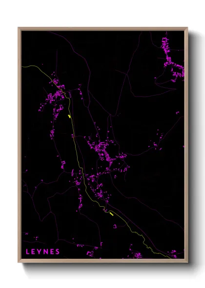 Une affiche de carte sur Leynes