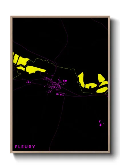 Une affiche de carte sur Fleury
