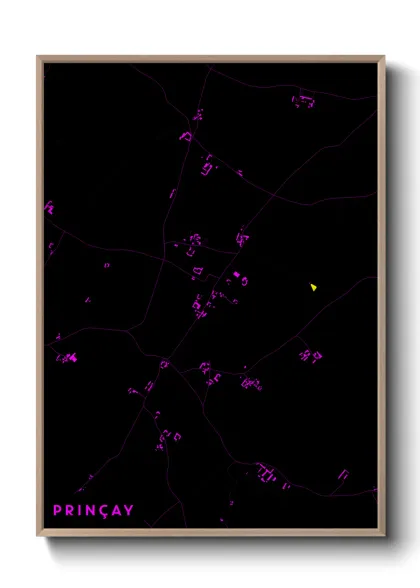 Une affiche de carte sur Prinçay