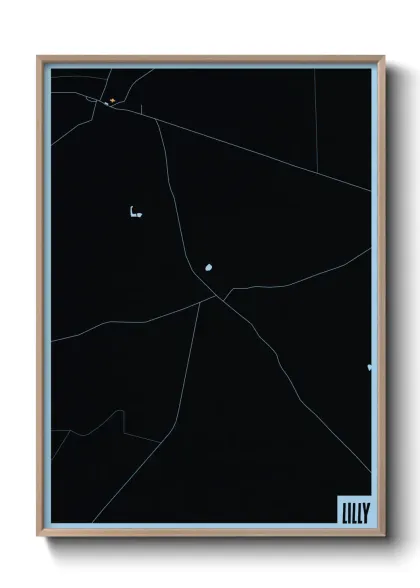 Une affiche de carte sur Lilly
