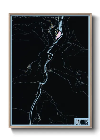 Une affiche de carte sur Camous