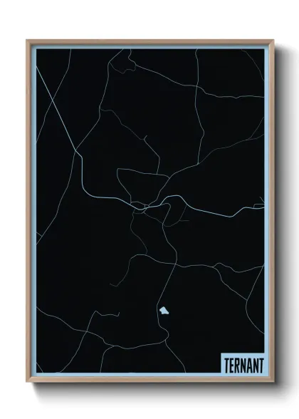 Une affiche de carte sur Ternant