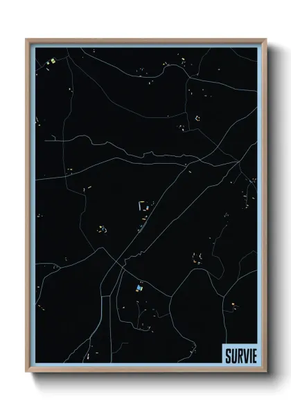 Une affiche de carte sur Survie