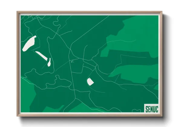 Une affiche de carte sur Senuc