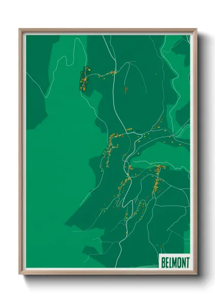Une affiche de carte sur Belmont