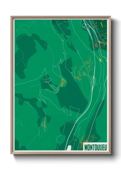Une affiche de carte sur Montoulieu