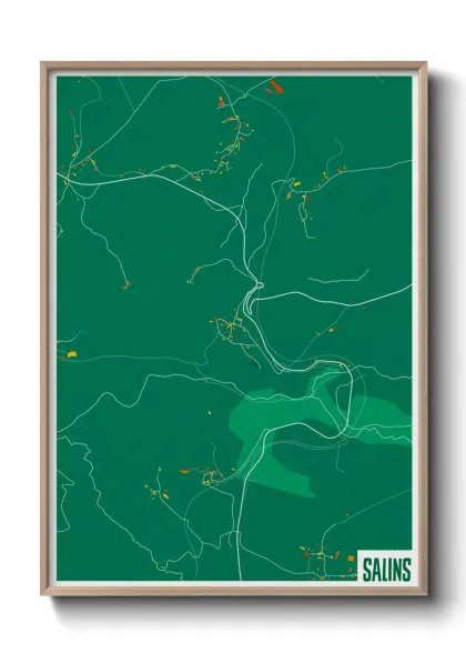 Une affiche de carte sur Salins