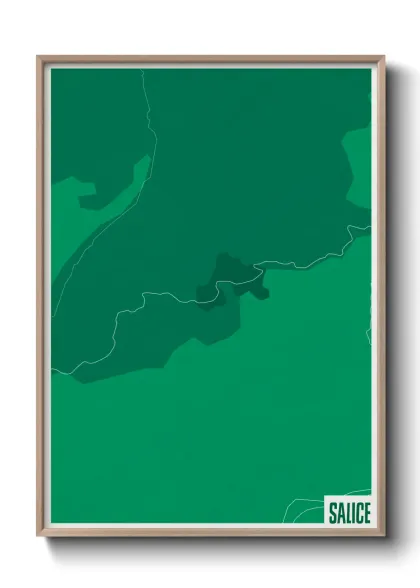 Une affiche de carte sur Salice