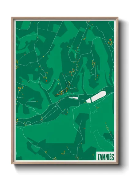 Une affiche de carte sur Tamniès