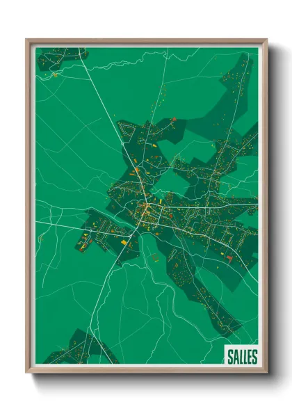 Une affiche de carte sur Salles