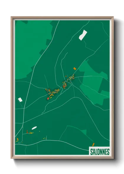 Une affiche de carte sur Salonnes