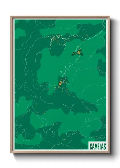 Une affiche de carte sur Camélas