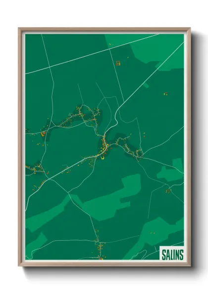 Une affiche de carte sur Salins