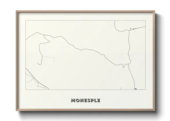 Une affiche de carte sur Monesple