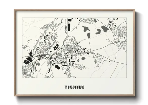 Une affiche de carte sur Tignieu