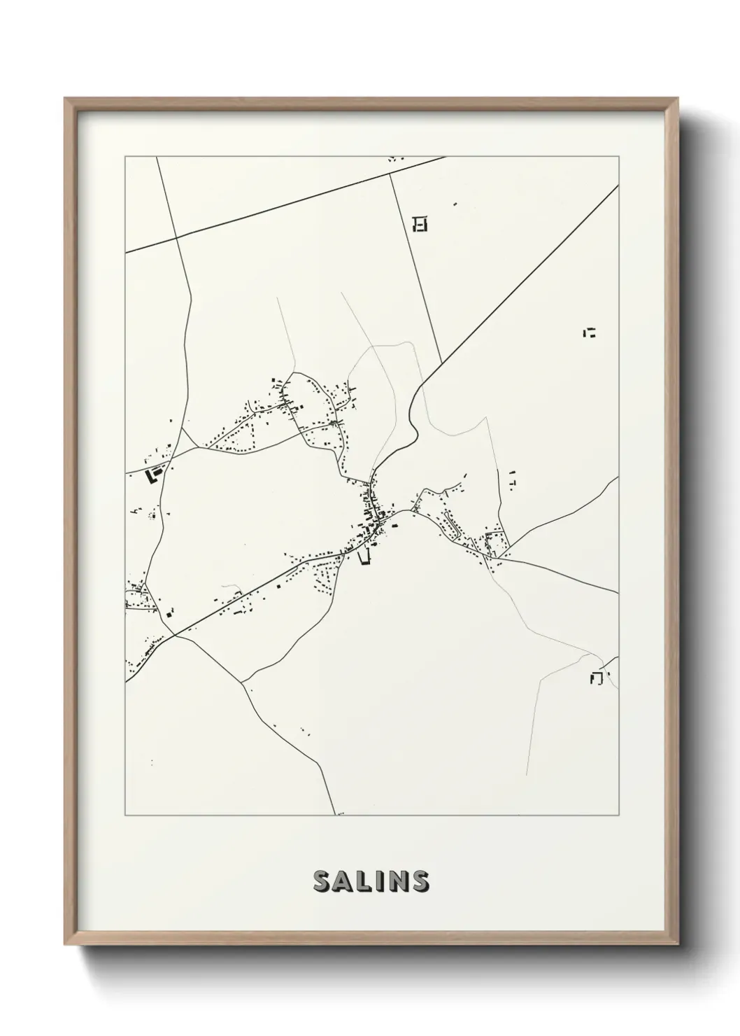 Un poster carte Salins